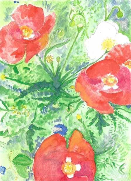 Poppies Small