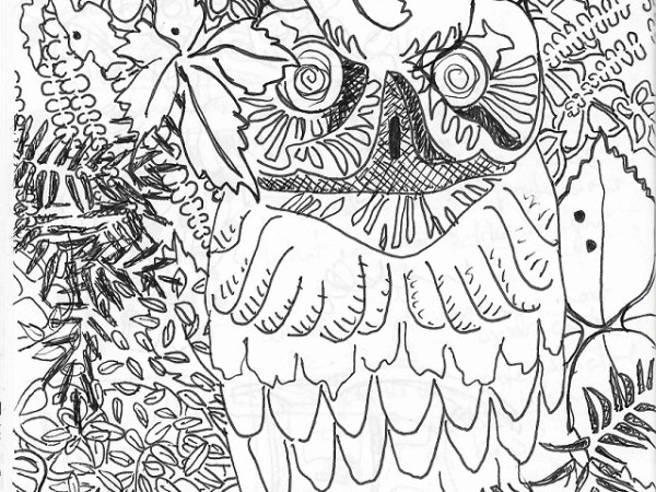 The End of Summer&nbsp;Owl