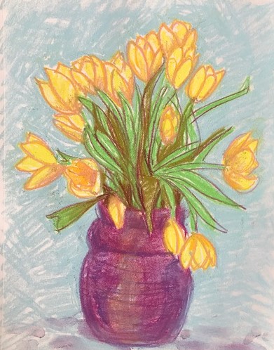 yellow-tulips