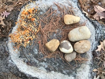 Puzzles and Classic Rock and a Picture of Pine Needles, Rocks, and Fried&nbsp;Rice