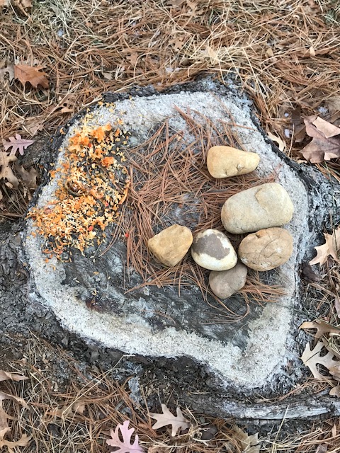Puzzles and Classic Rock and a Picture of Pine Needles, Rocks, and Fried&nbsp;Rice